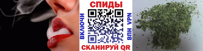 Бутират бутик  магазин продажи   Куровское 